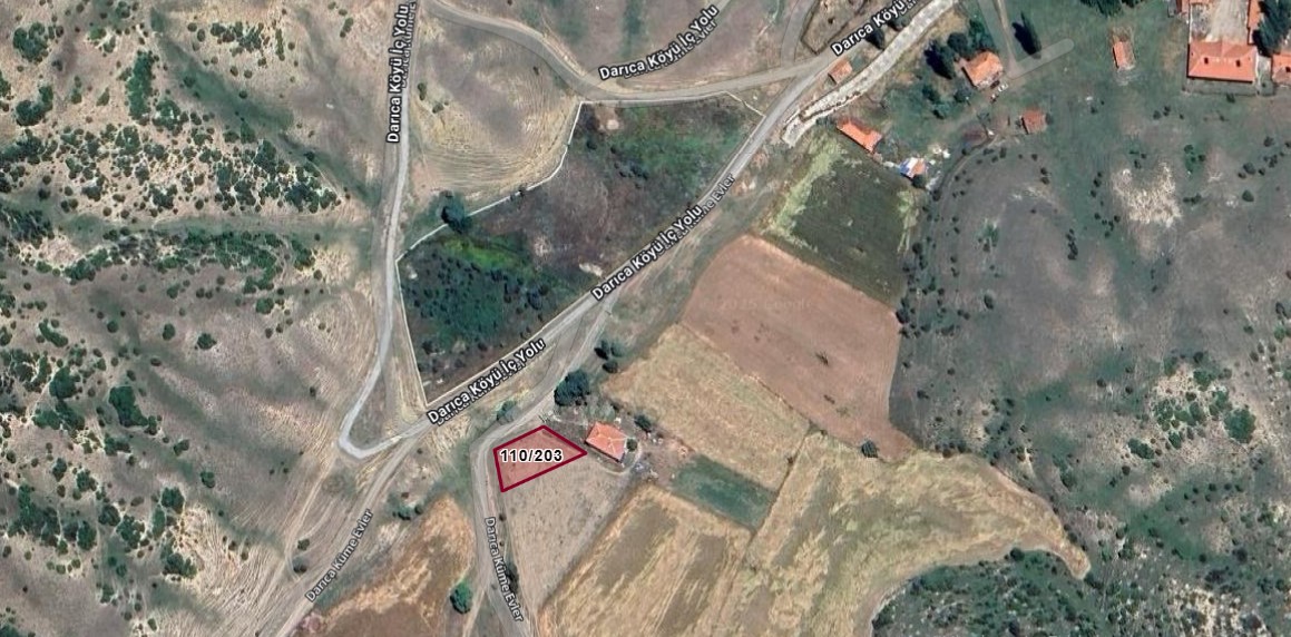 Fotoğraf